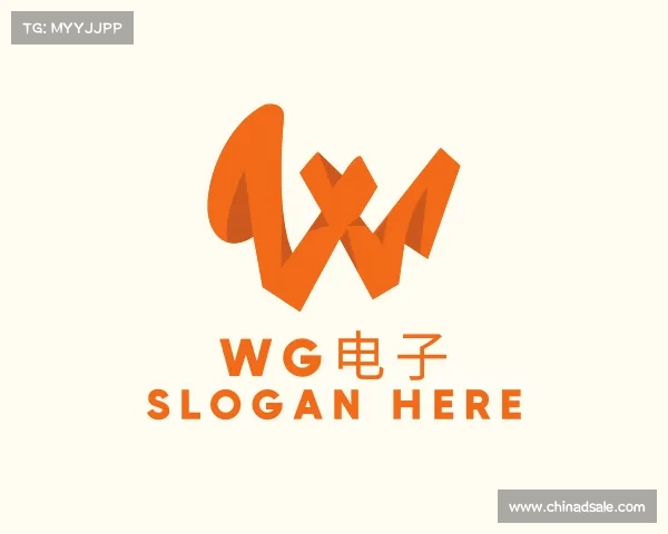 介绍WG电子